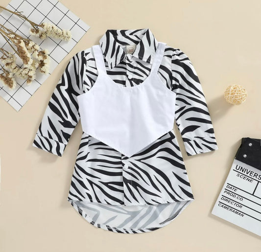 Zara zebra shirt dress