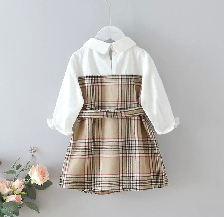 Julia shirt dress