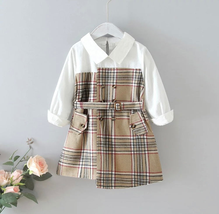 Julia shirt dress