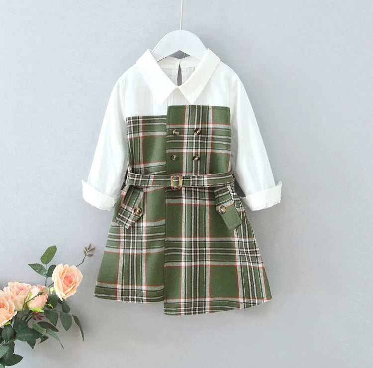 Julia shirt dress